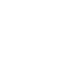 Logo Shanza Florist